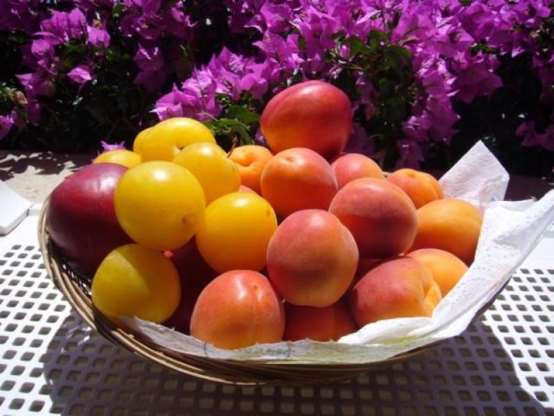 Photo de la recette