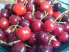 Tarte ou tartelettes aux cerises