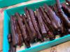 Orangettes au chocolat
