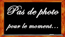 Photos de recettes
